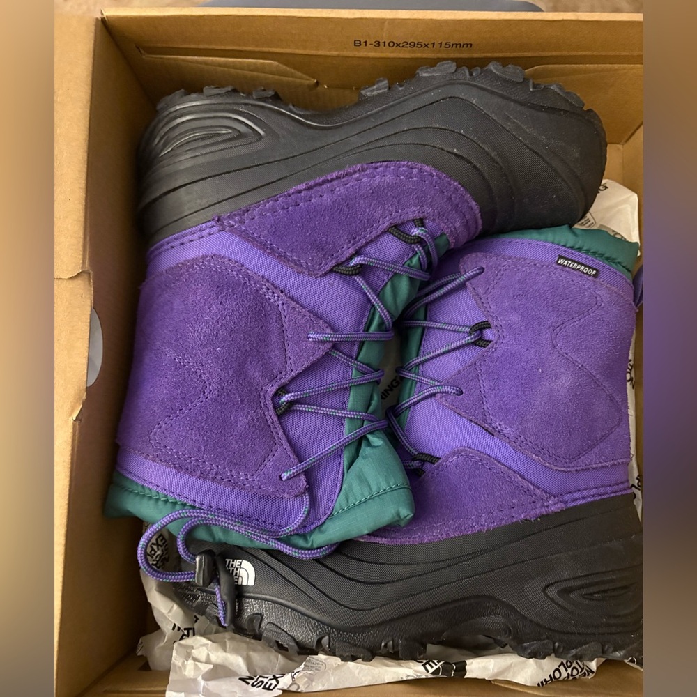 The North Face Peak Purple and Evergreen Footwear